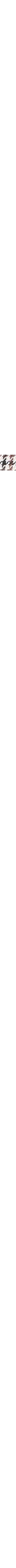 Brun à motifs