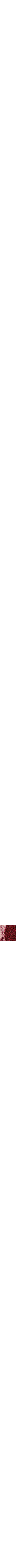 Pourpre à motifs
