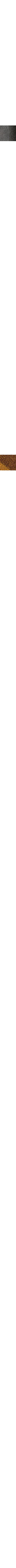 Gris à motifs
