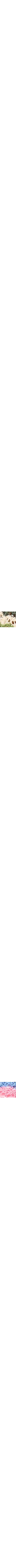 Vert à motifs