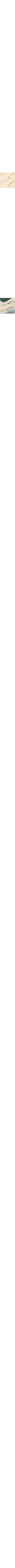 Blanc cassé
