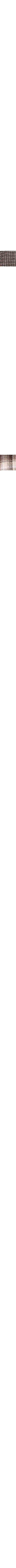 Brun à motifs