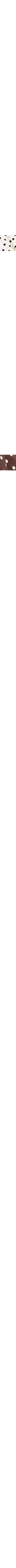 Brun à motifs