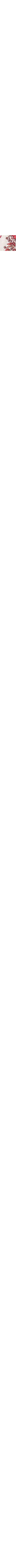 Patterned Ecru