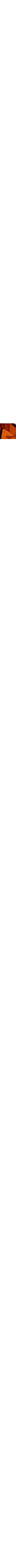 Bronze/Amber