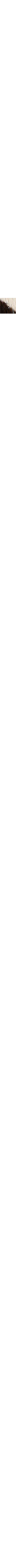 Blanc à motifs