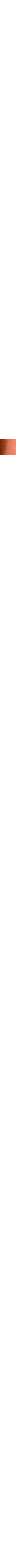 Cuivre - Rouille