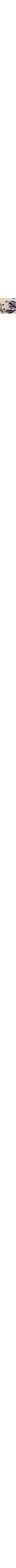 Blanc à motifs