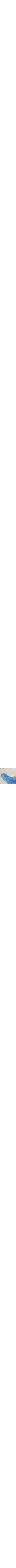 Bleu à motifs