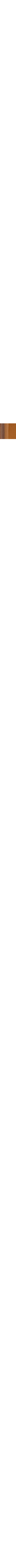 Ambre doux et fèves de tonka
