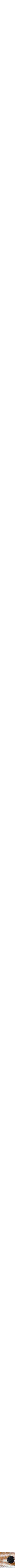 Assorti