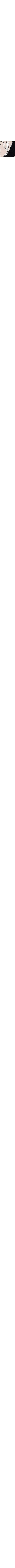 Noir à motifs