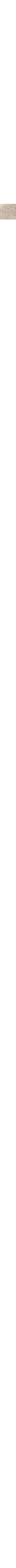 Beige - Grège