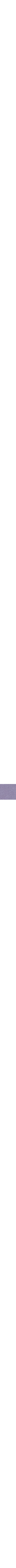 Pourpre