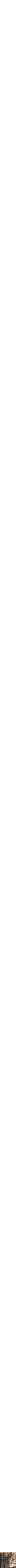 Brun à motifs
