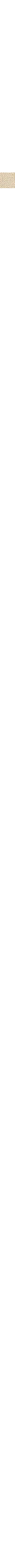 Blanc cassé