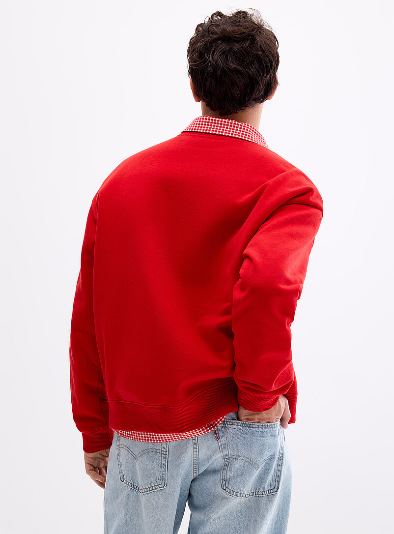 David embroidered clover sweatshirt product image 3