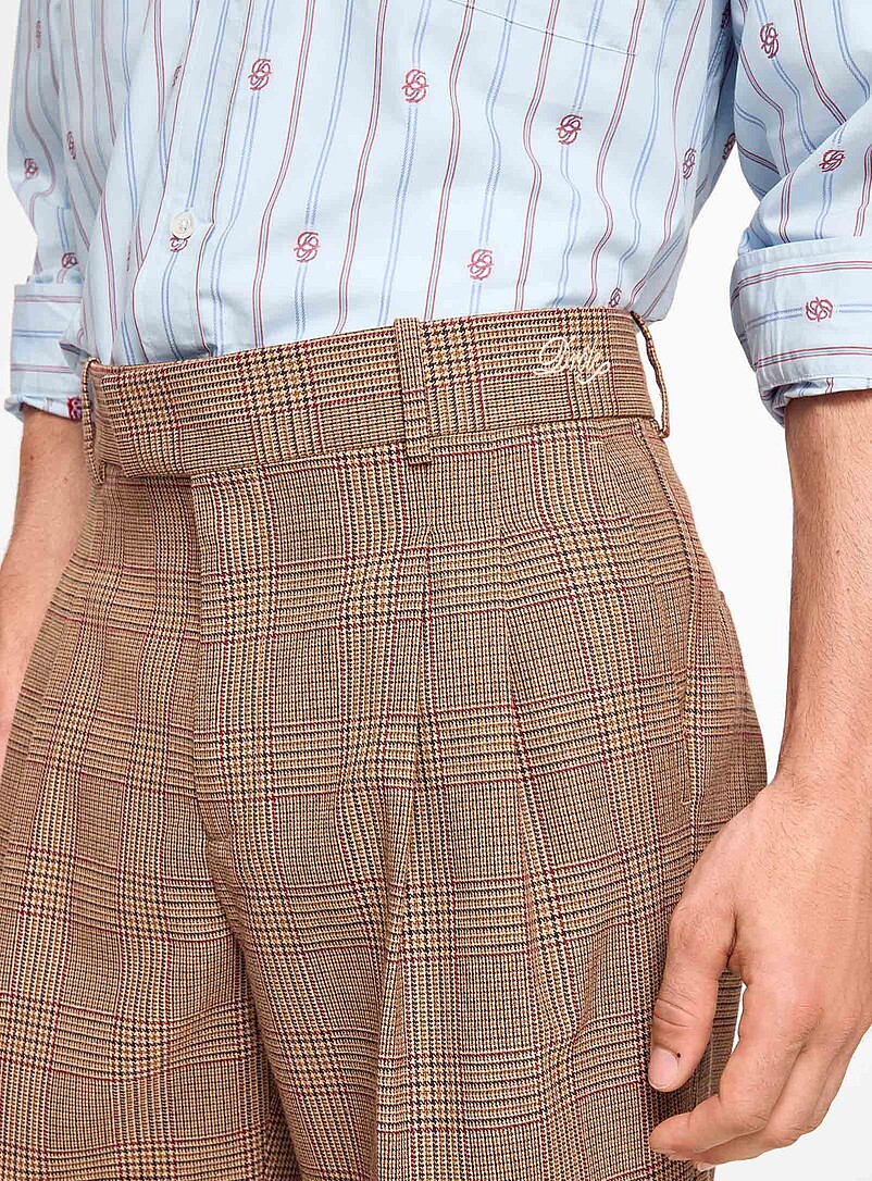 Prince of Wales pleated pant product image 2