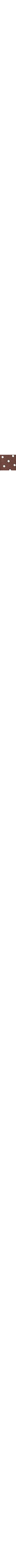 Brun à motifs