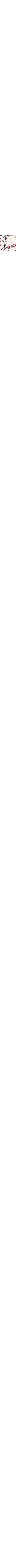 Écru à motifs