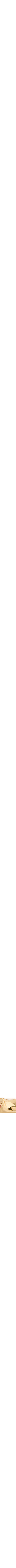 Jaune doré