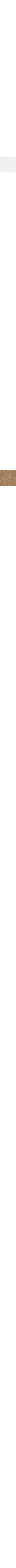 Kaki