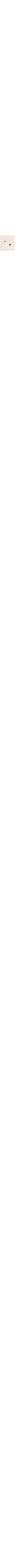 Écru à motifs