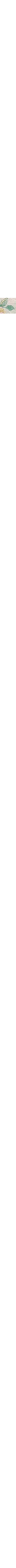 Blanc à motifs