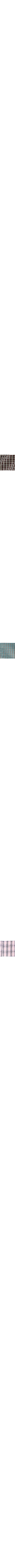 Bleu à motif