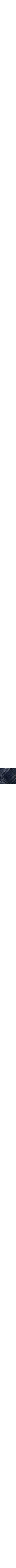 Patterned Blue