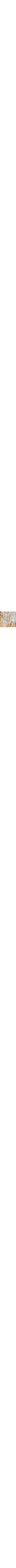 Vert à motifs