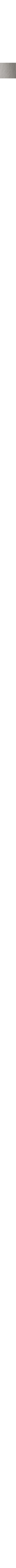 Gris pâle
