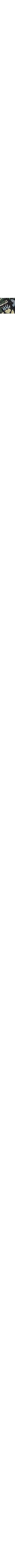 Noir à motifs