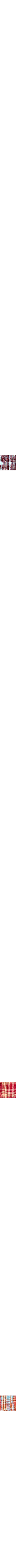 Brun à motifs