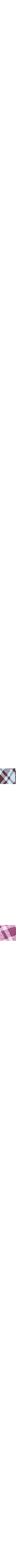 Bleu à motifs