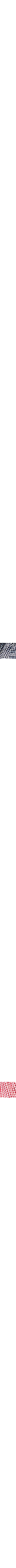 Rouge à motifs