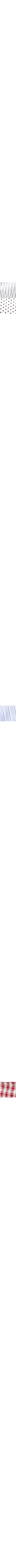 Rouge à motifs