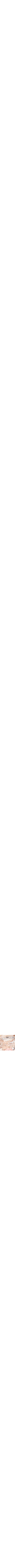 Vieux rose