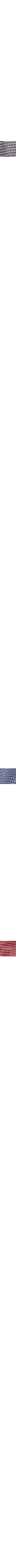 Noir à motifs