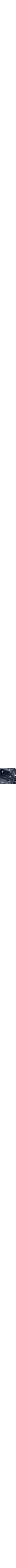 Bleu à motifs