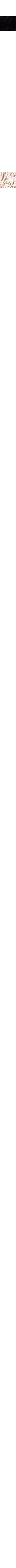Blanc cassé