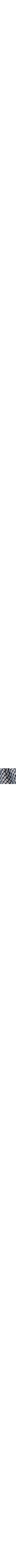 Patterned Blue
