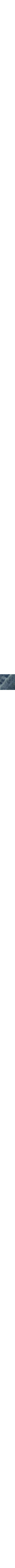 Effet sali