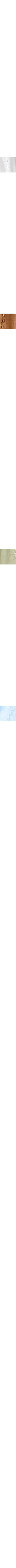 Vert pâle