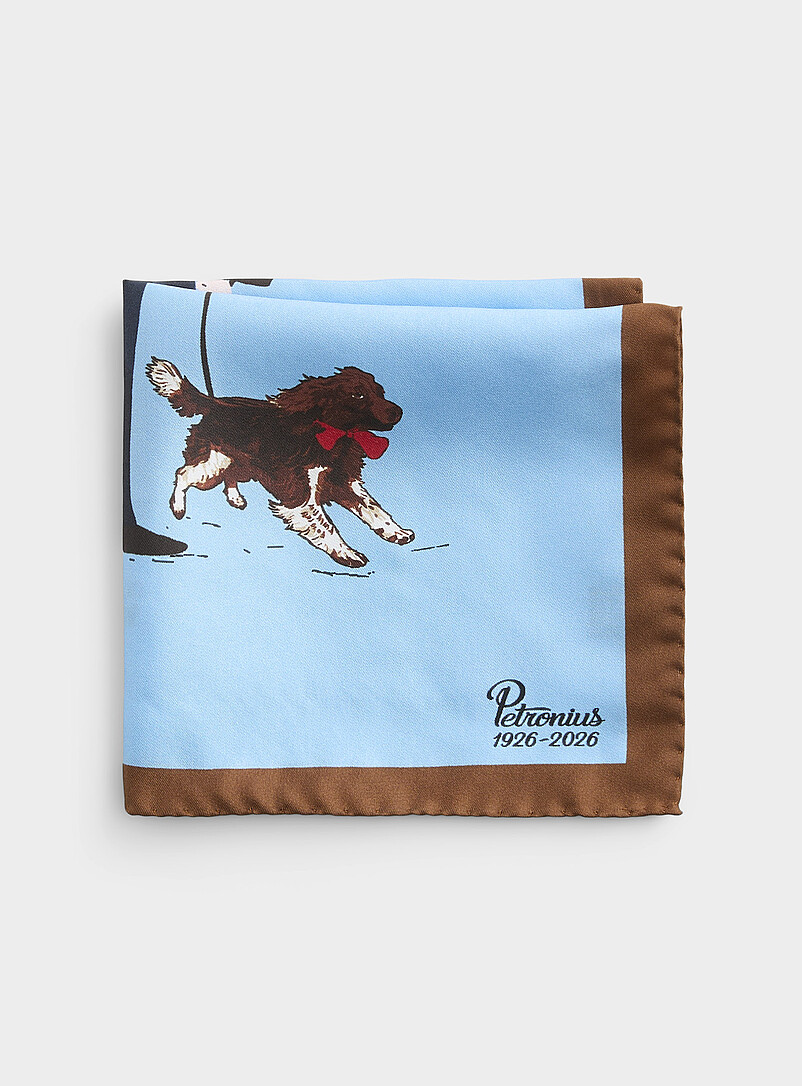 Dog-Walk Pocket Square