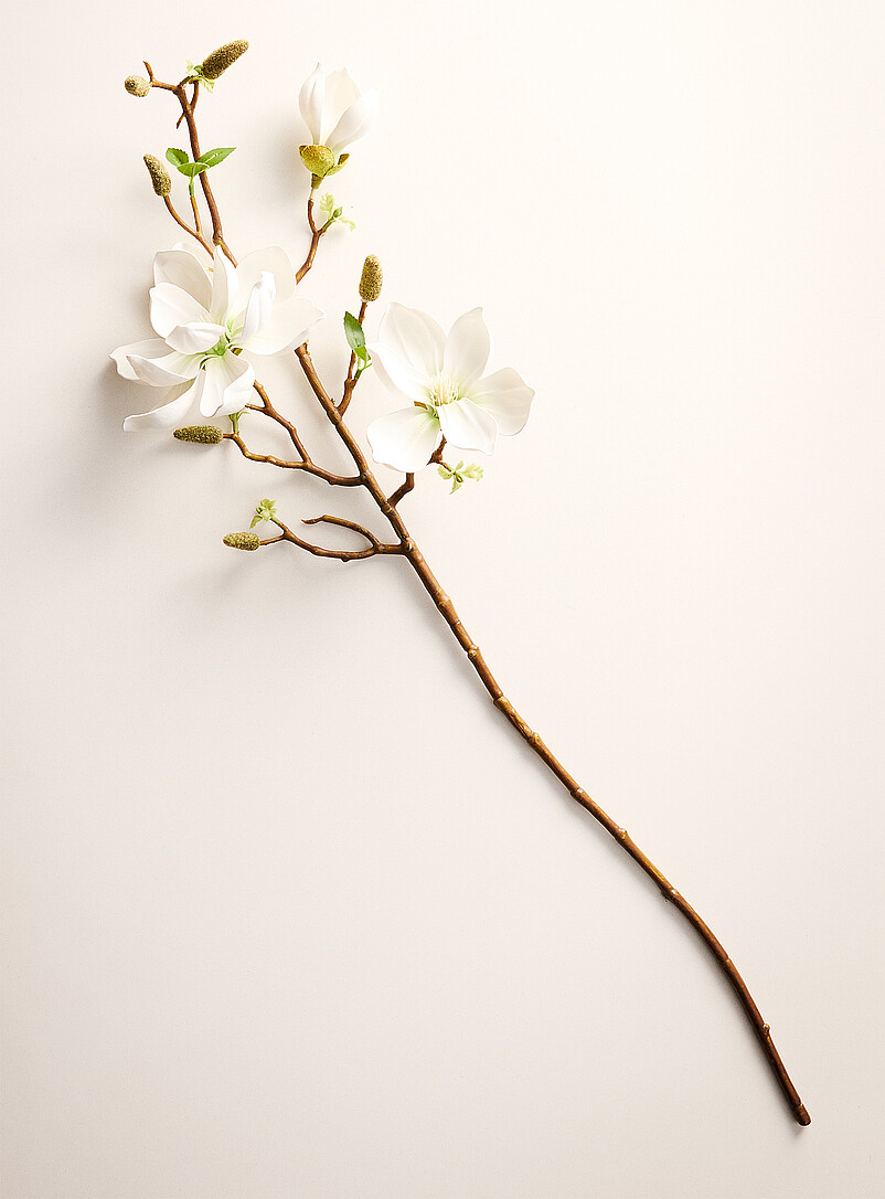 Simons Maison: La branche imitation magnolia Rose