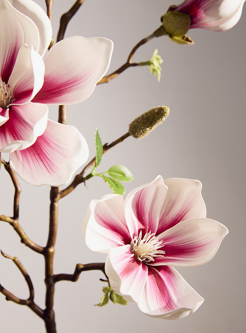 Simons Maison: La branche imitation magnolia Rose