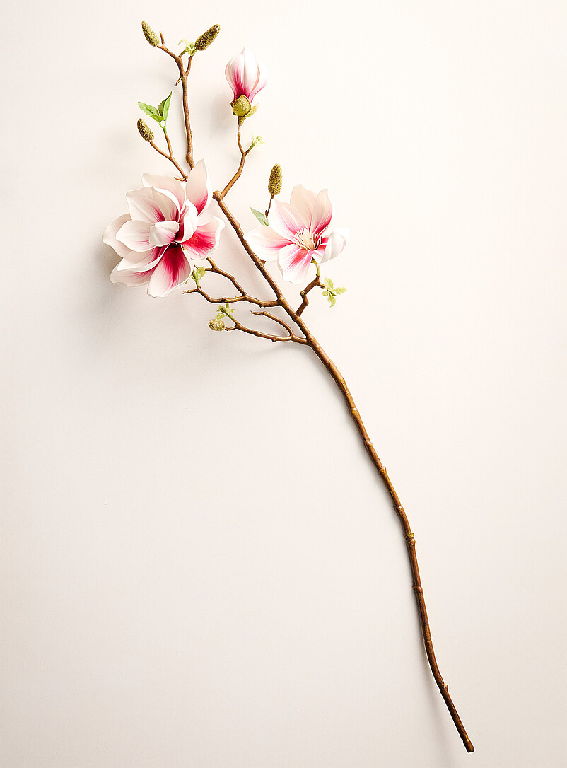Simons Maison: La branche imitation magnolia Rose