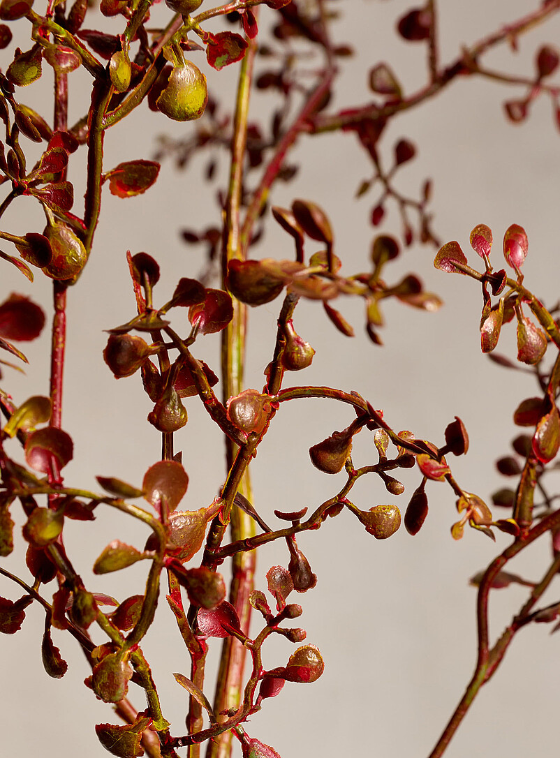 Artificial red and green mini foliage branch product image 2