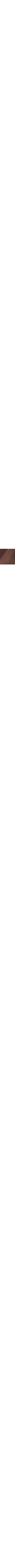 Brun neutre